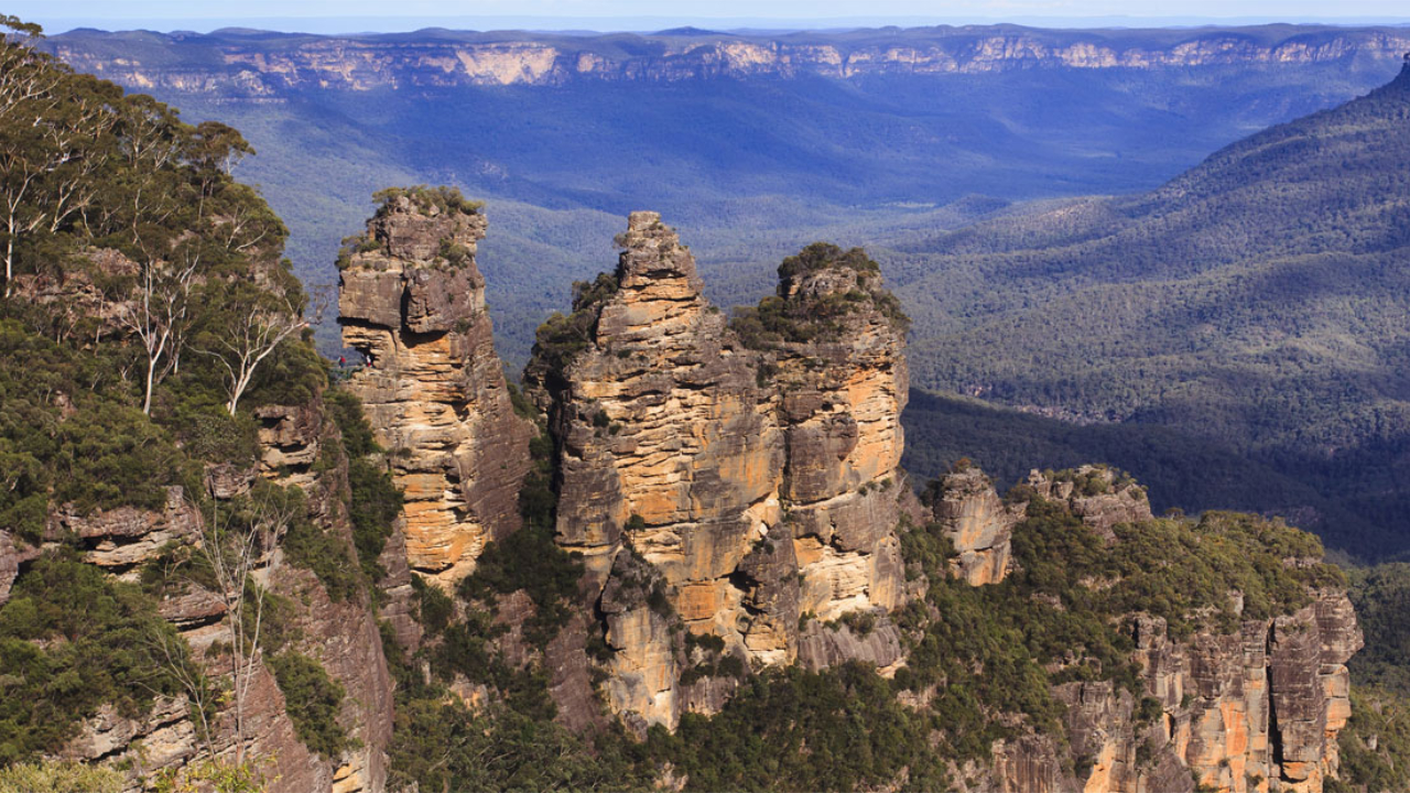 Blue Mountains Tour