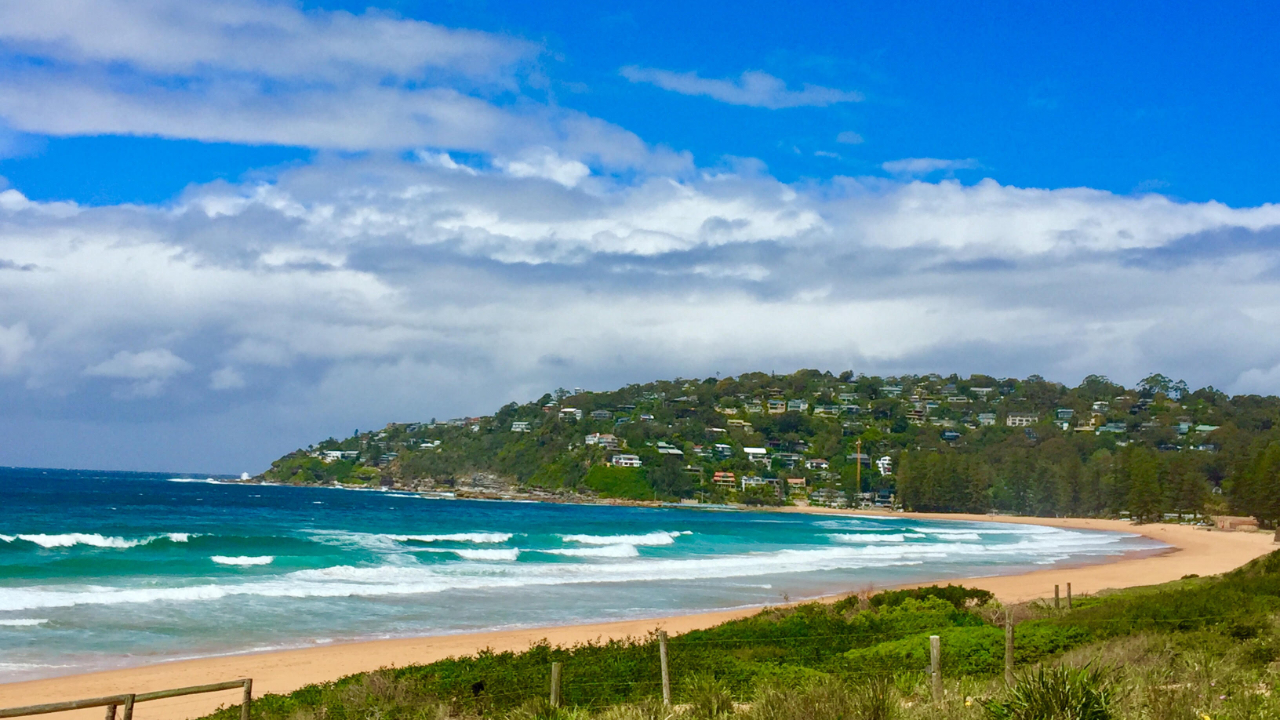 Sydney Northern Beaches and Ku-ring-gai National Park Tour